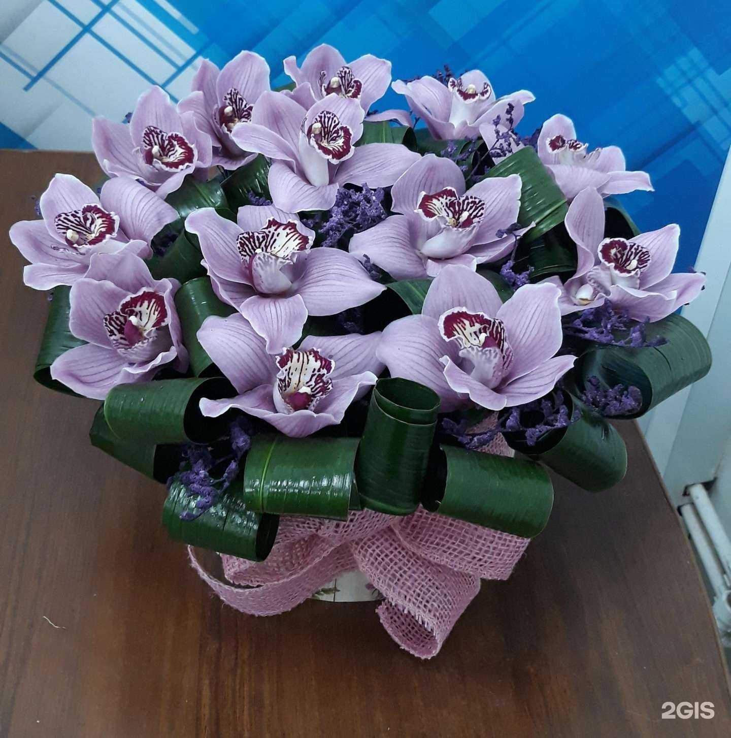 Отзывы на компанию Лаванда в Солнечногорске c фото