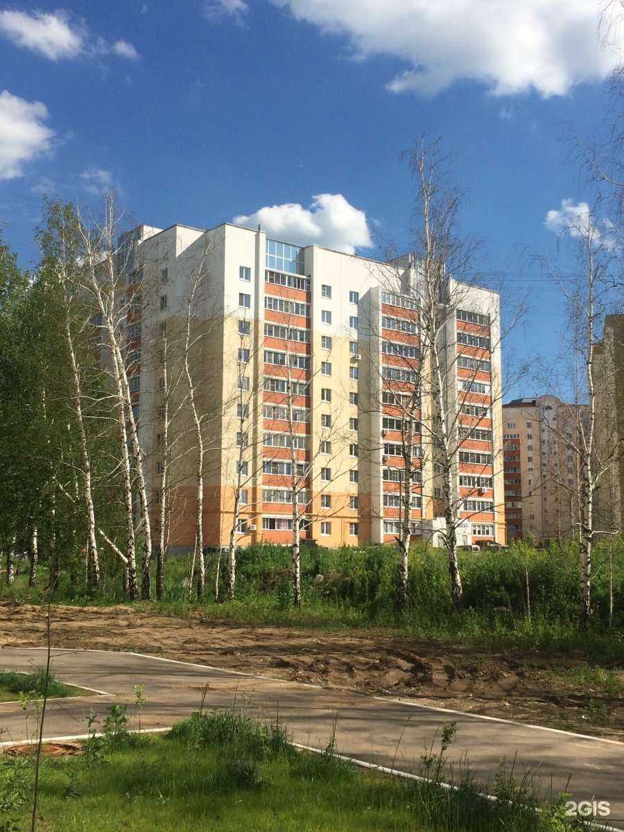 Отзывы на компанию Рыжий пёс в Рязани c фото - фотография 2 из 2