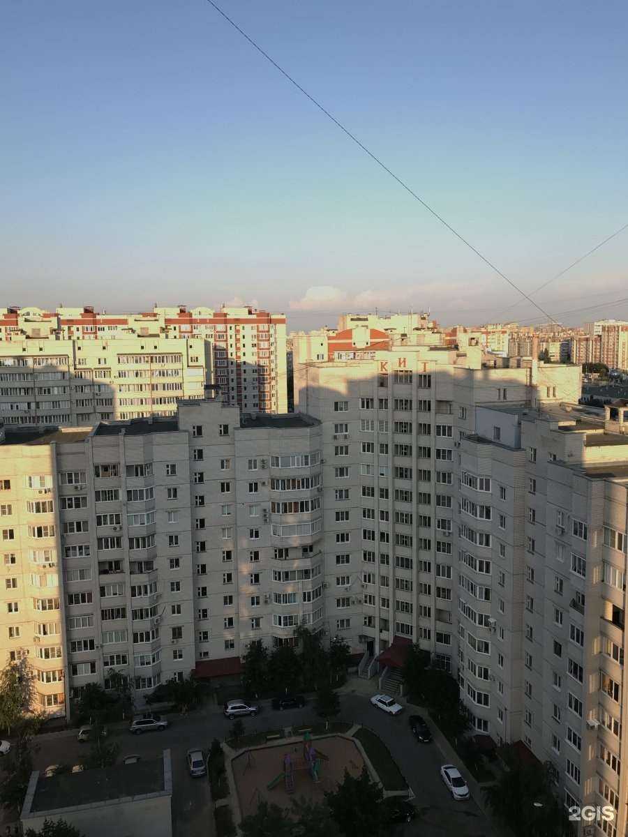 Отзывы на компанию КреативKids в Воронеже c фото - фотография 2 из 2