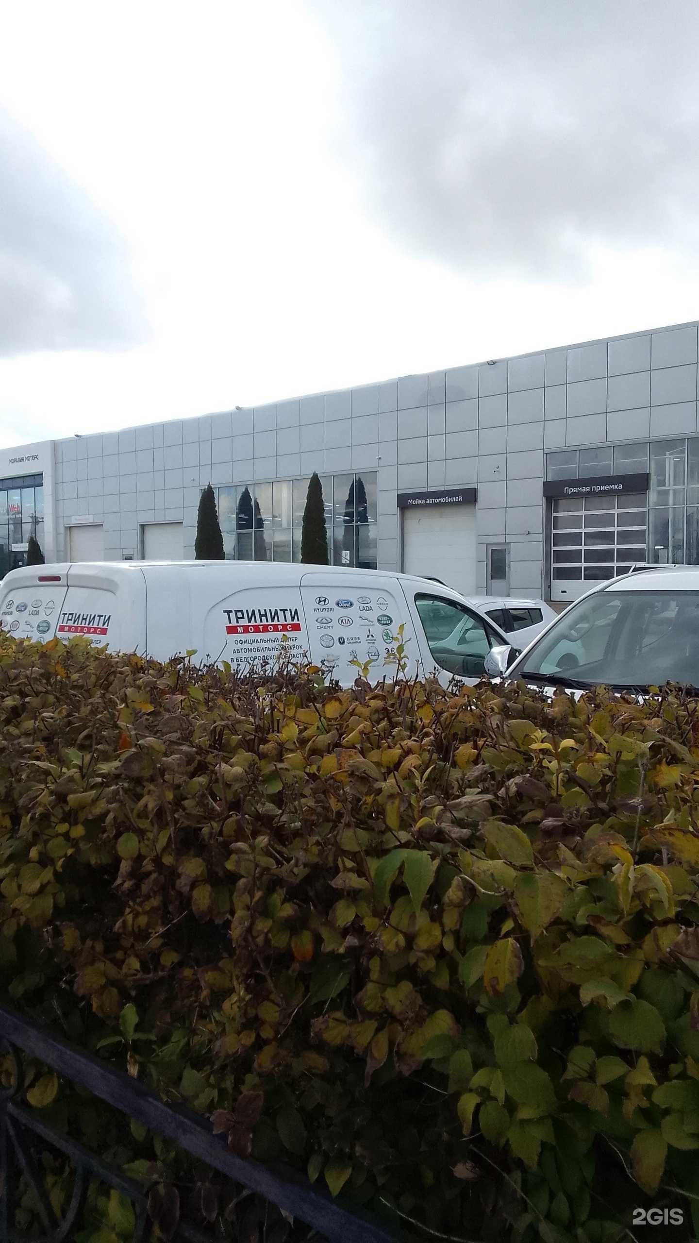 Отзывы на компанию Тринити Моторс в Белгороде c фото