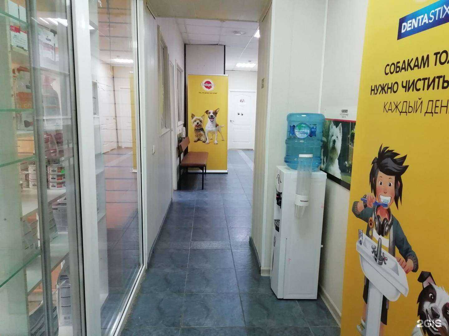 Отзывы на компанию Доктор Вет в Перми c фото