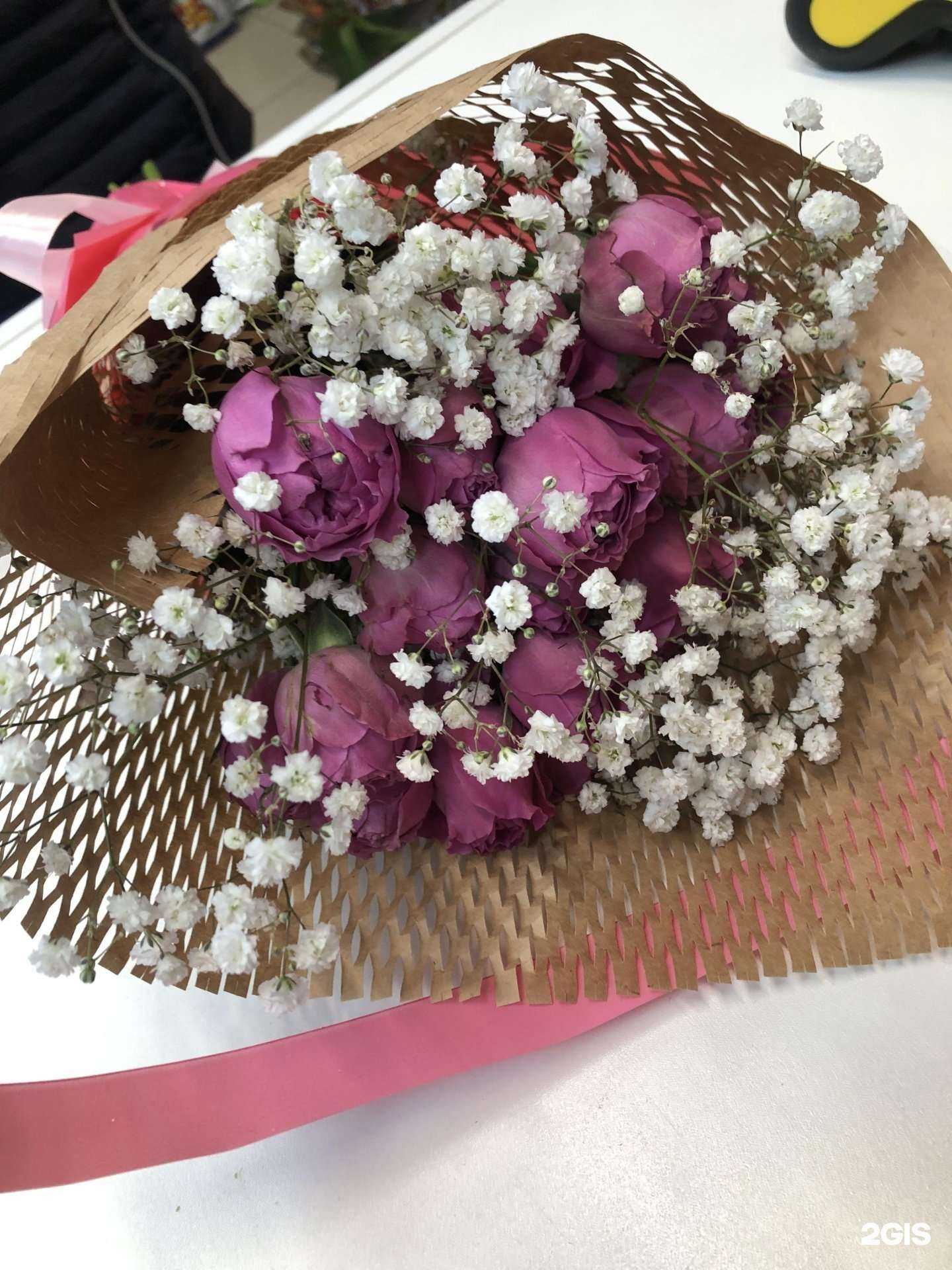 Отзывы на компанию Орхидея mix в Новосибирске c фото