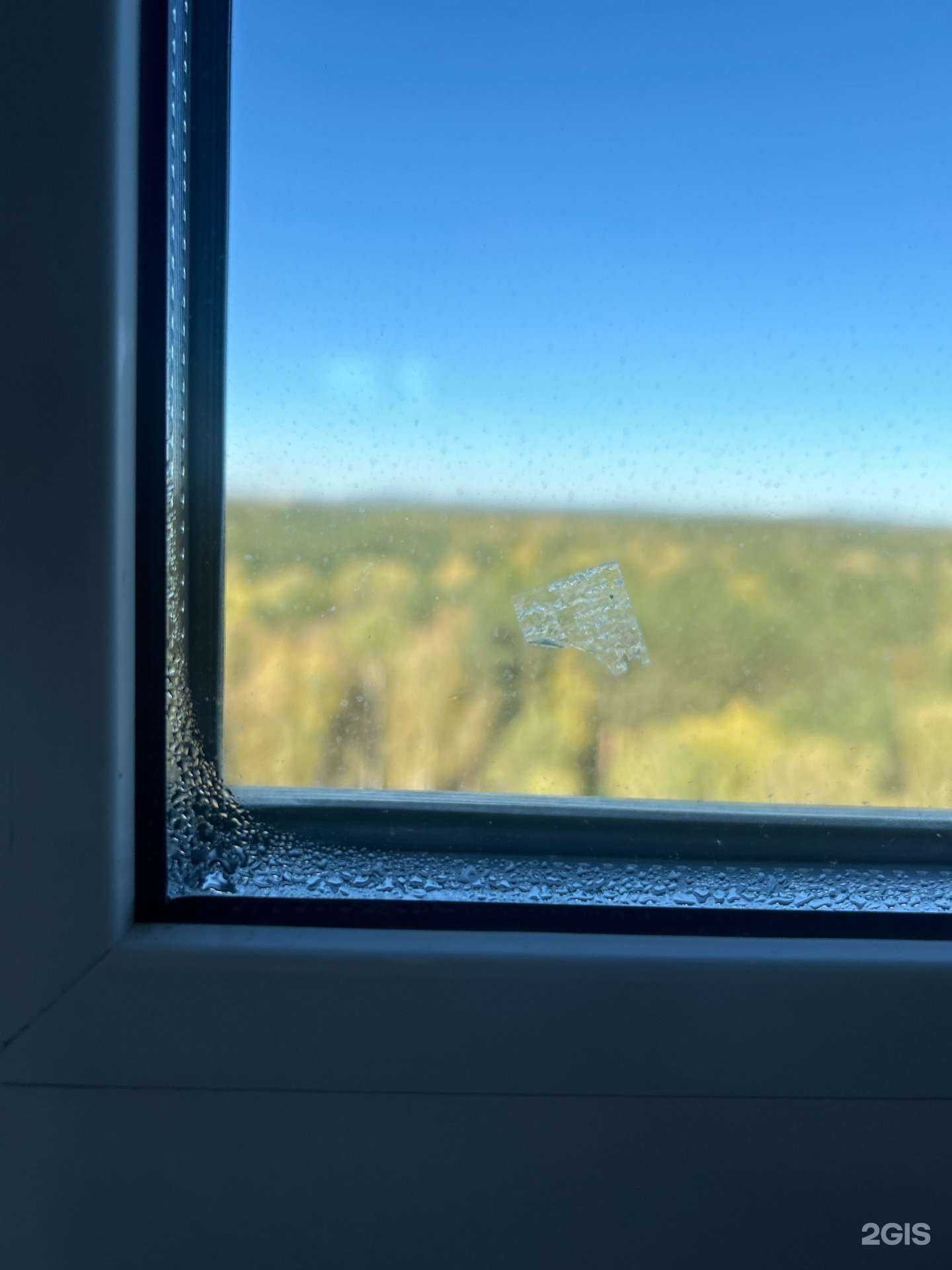 Отзывы на компанию Шкодный кот в Верхней Пышме c фото - фотография 2 из 2