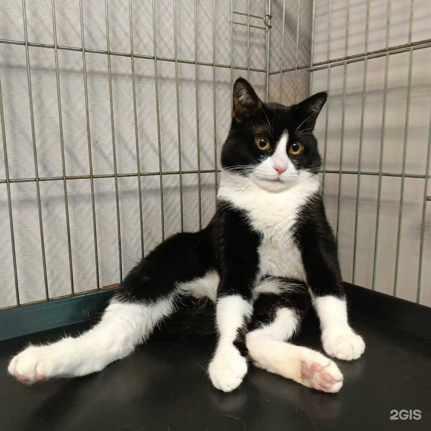 Отзывы на компанию Умка в Калининграде c фото