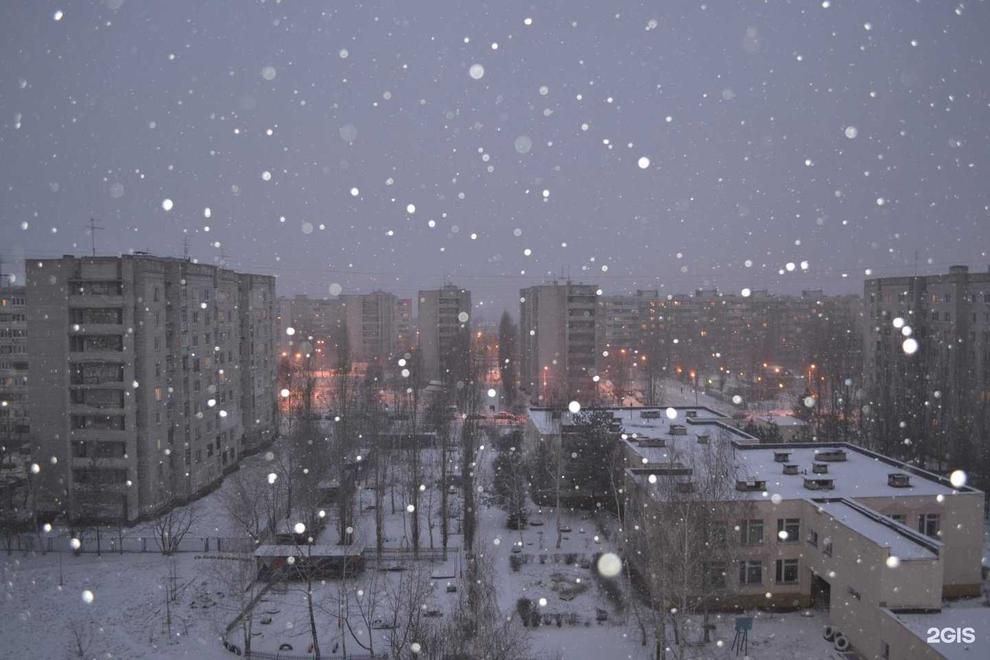 Отзывы на компанию Котопесик в Нижнем Новгороде c фото - фотография 2 из 2