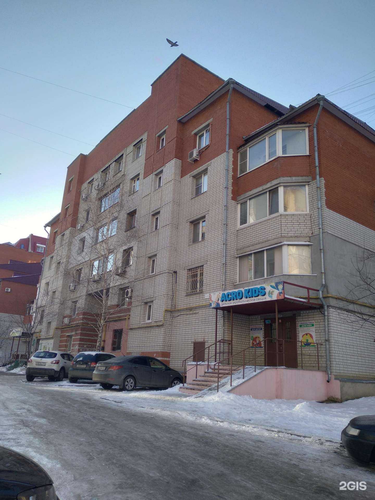 Отзывы на компанию Acro Kids в Саратове c фото - фотография 2 из 2