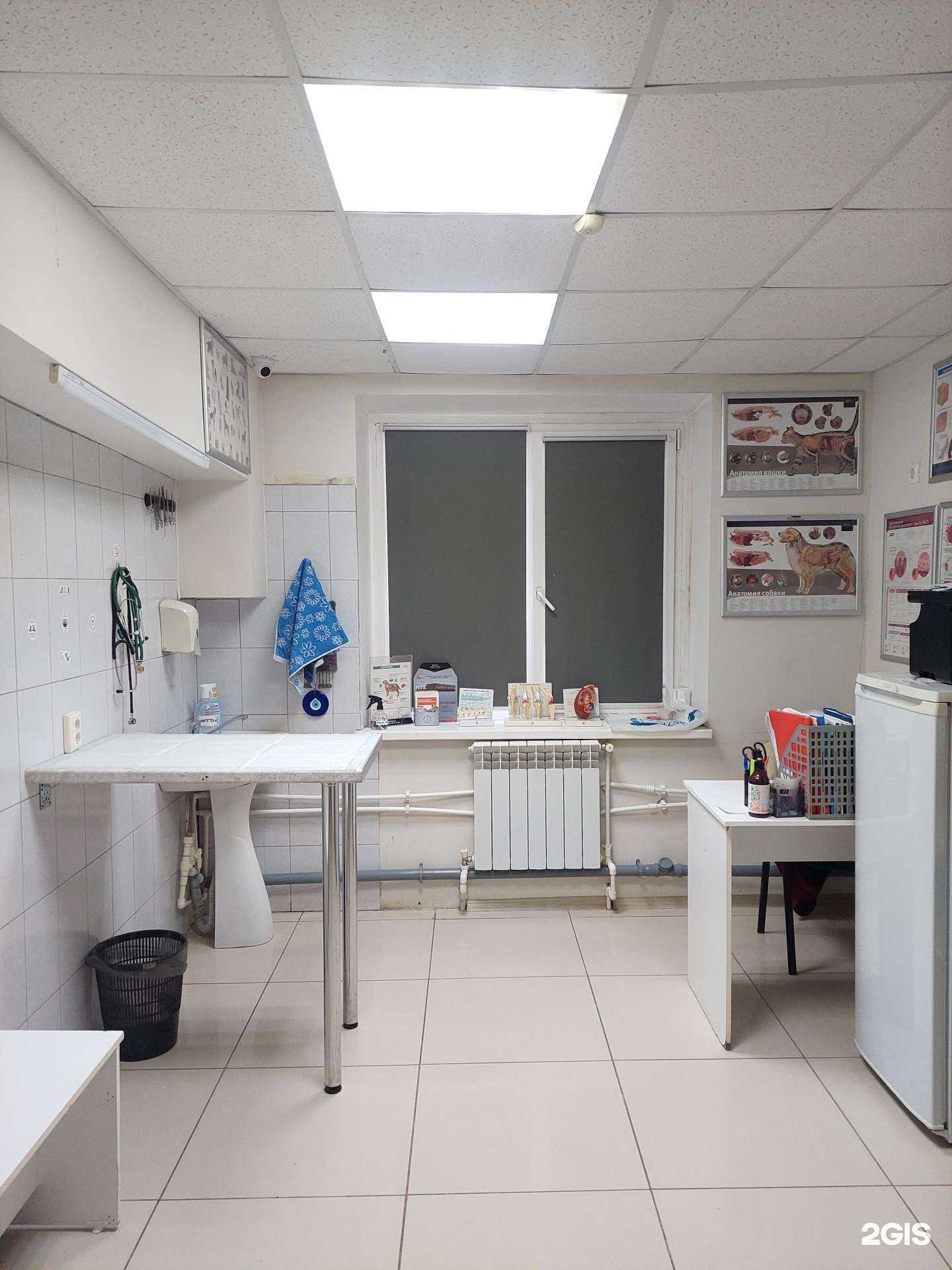 Отзывы на компанию ZooLife в Магнитогорске c фото