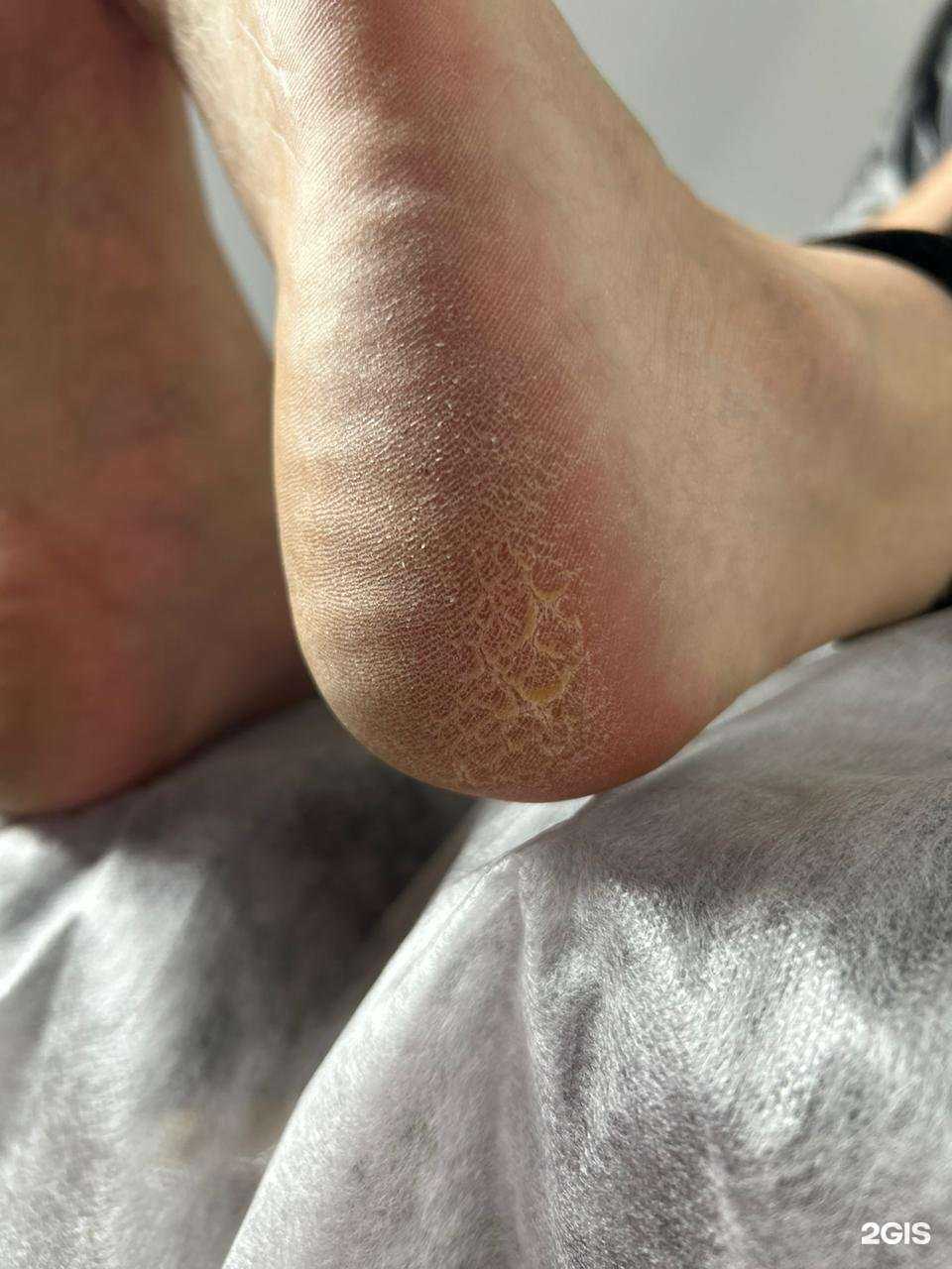 Отзывы на компанию Тея в г. Якутск c фото