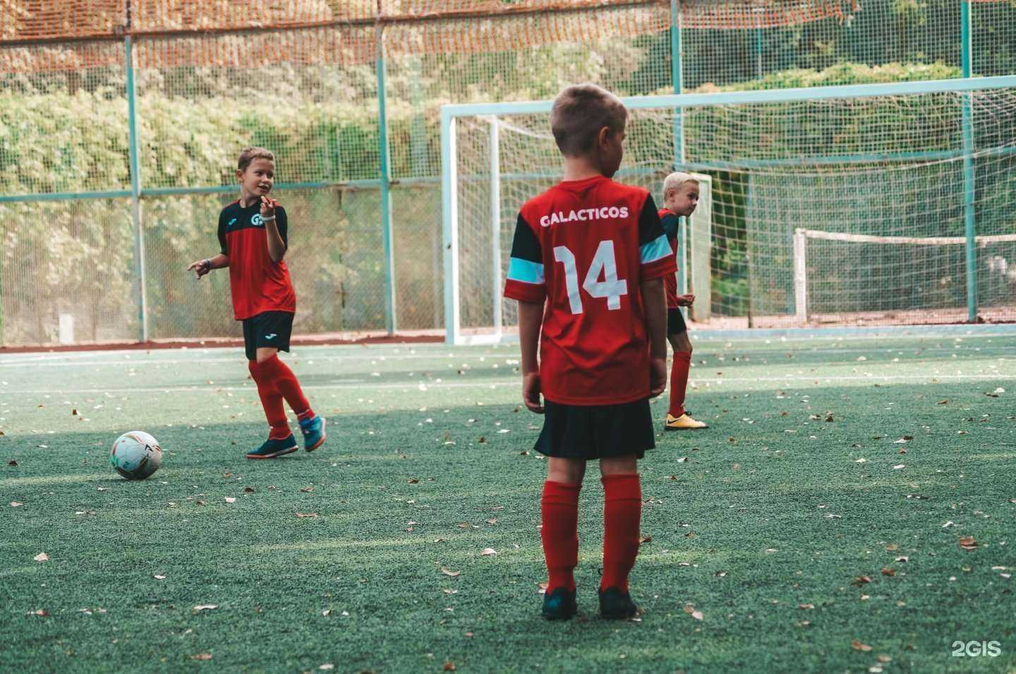 Отзывы на компанию Галактикос в г. Тольятти c фото