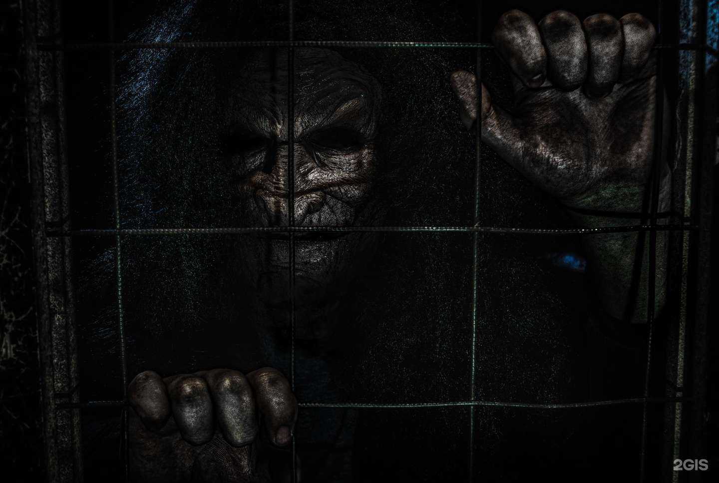 Отзывы на компанию Go Сrazy в Челябинске c фото