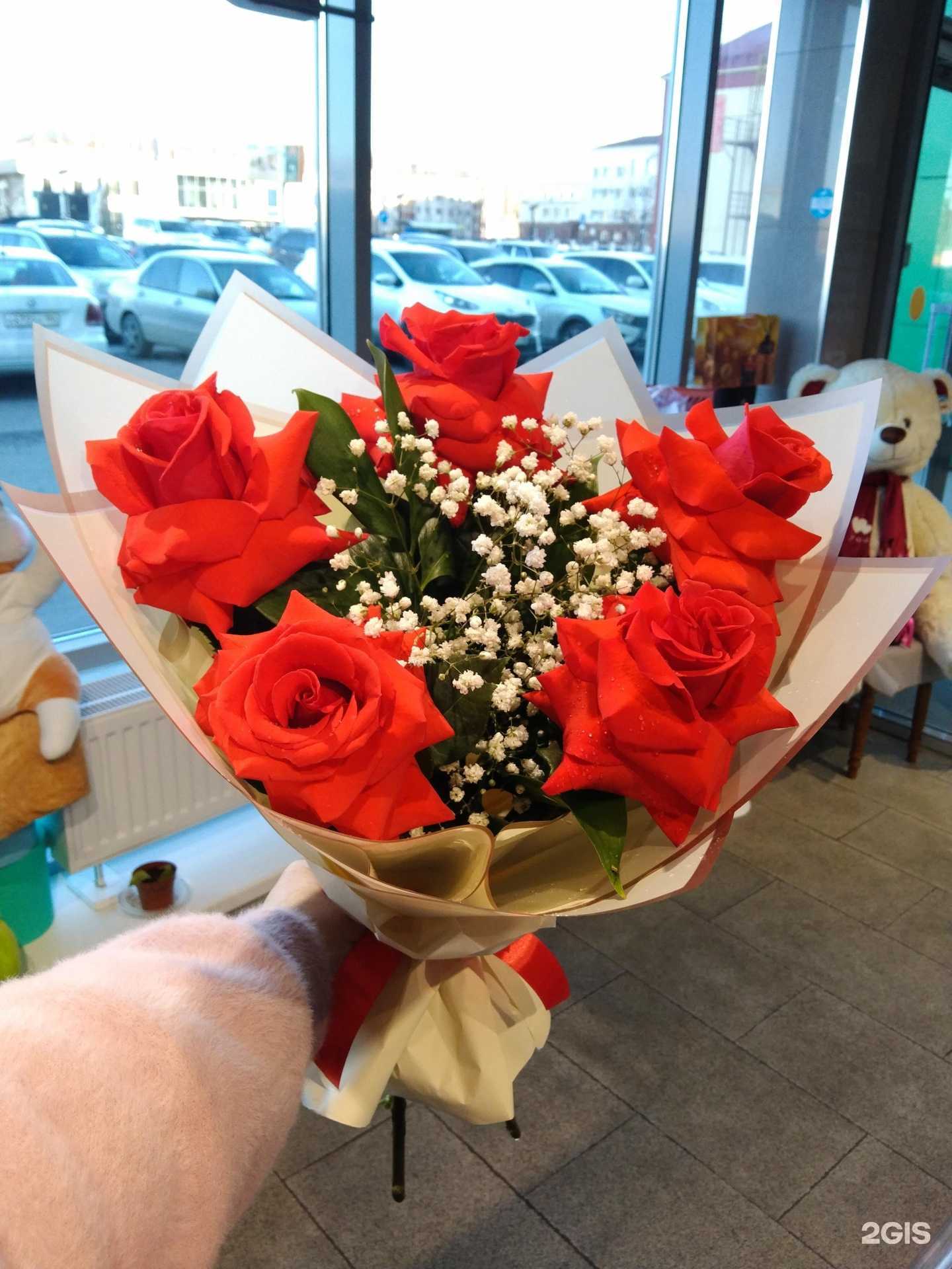 Отзывы на компанию Bloom в г. Нижневартовск c фото