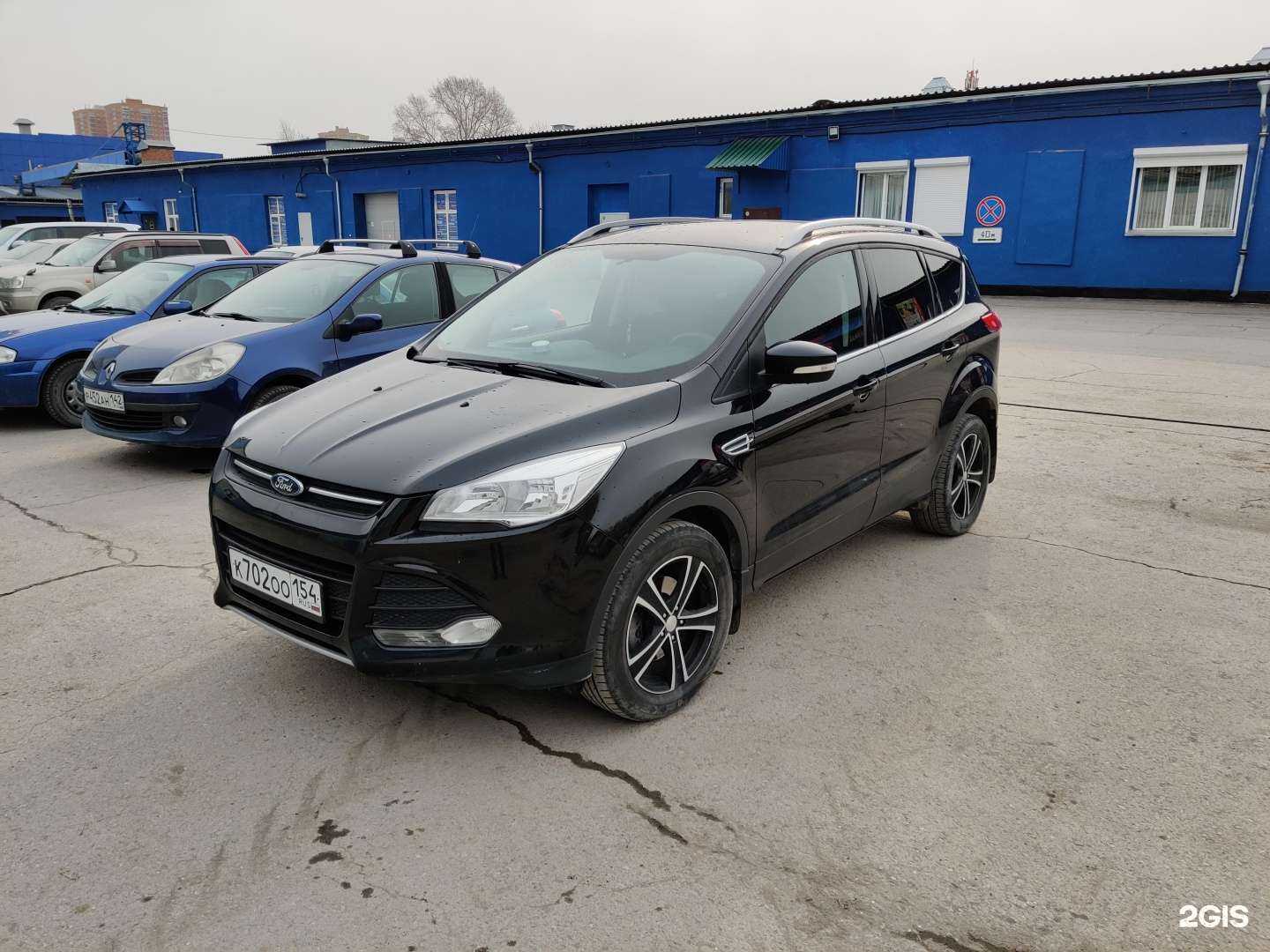 Отзывы на компанию Ehrle в г. Новосибирск c фото