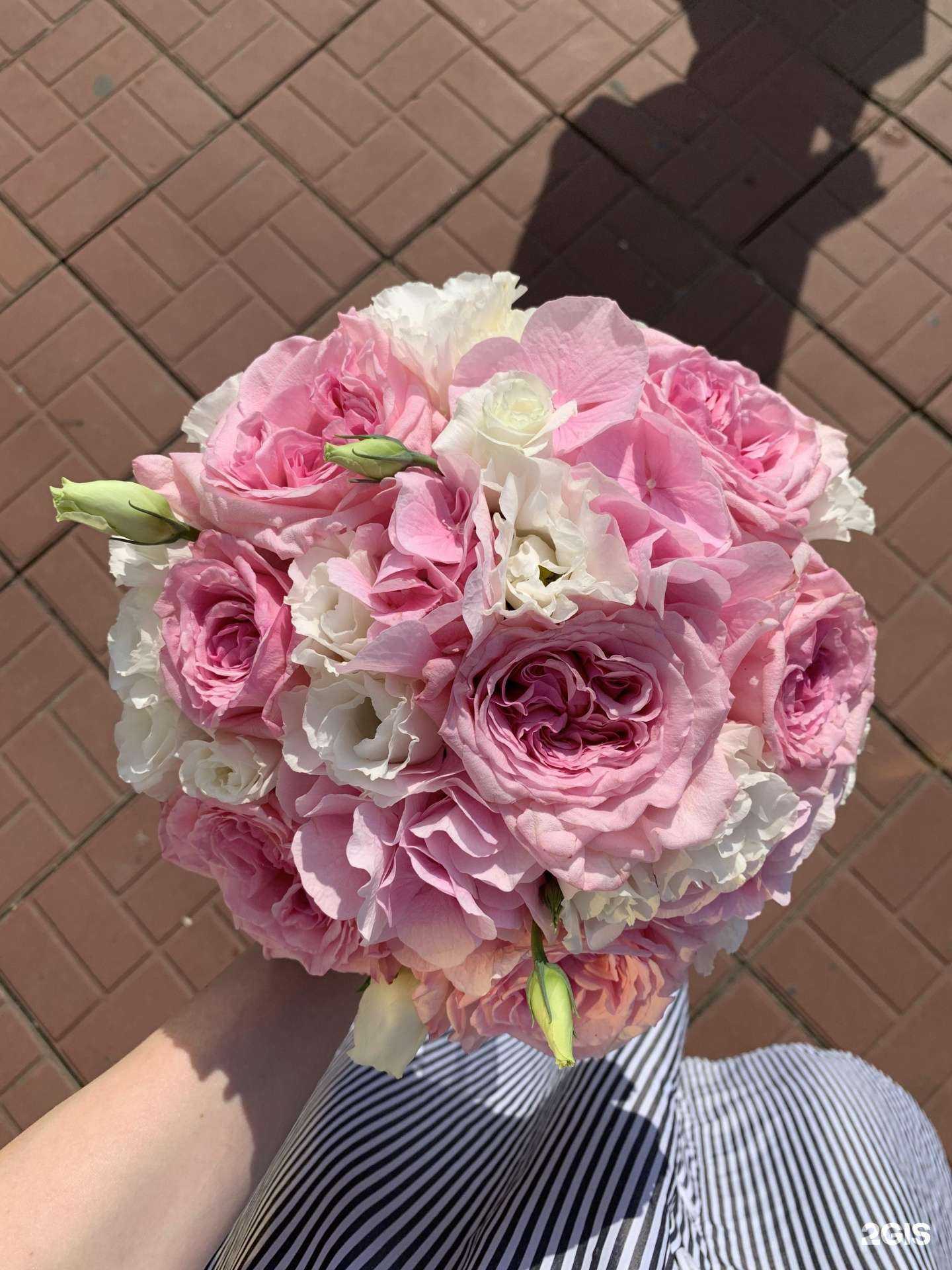 Отзывы на компанию Wild orhid в г. Чебоксары c фото