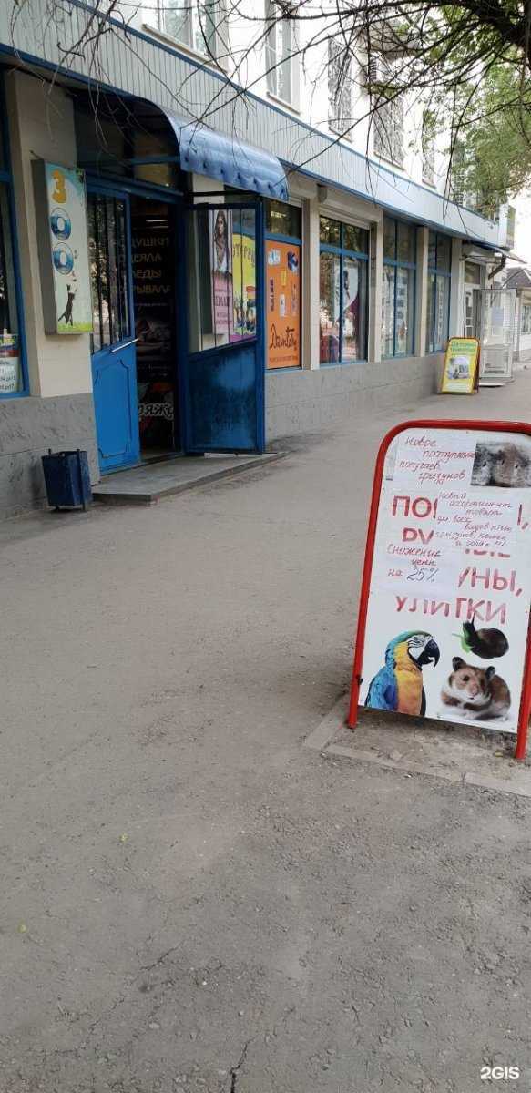 Отзывы на компанию Магазин зоотоваров в г. Волгоград c фото