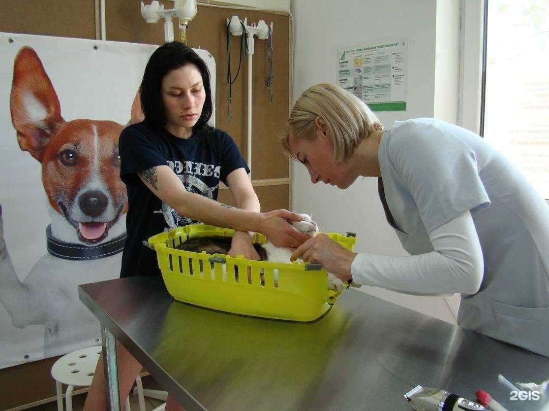 Отзывы на компанию Синий кот в Приморско-Ахтарске c фото