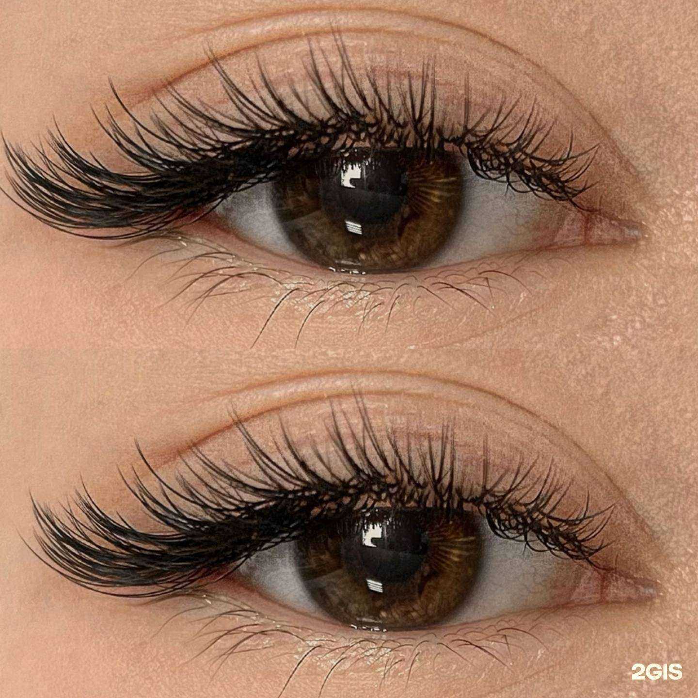 Отзывы на компанию Lash в г. Кемерово c фото