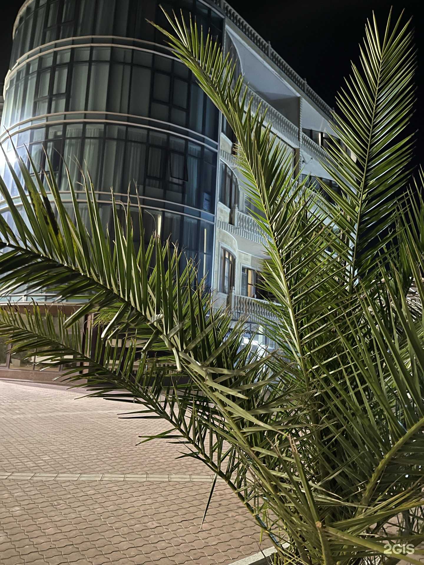 Отзывы на компанию Gladis в Сочи c фото - фотография 2 из 2