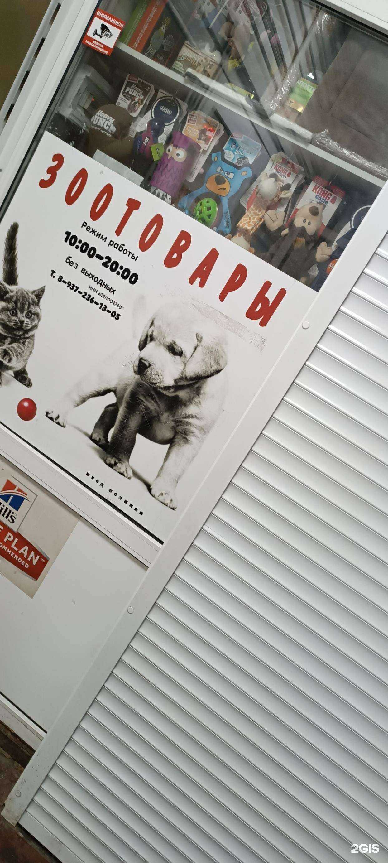 Отзывы на компанию Зоомагазин в г. Тольятти c фото