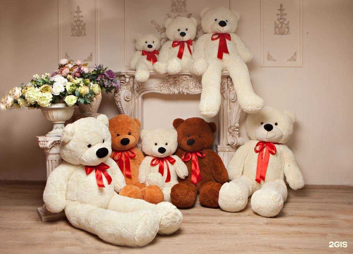 Отзывы на компанию ЧебураТорг в Ставрополе c фото