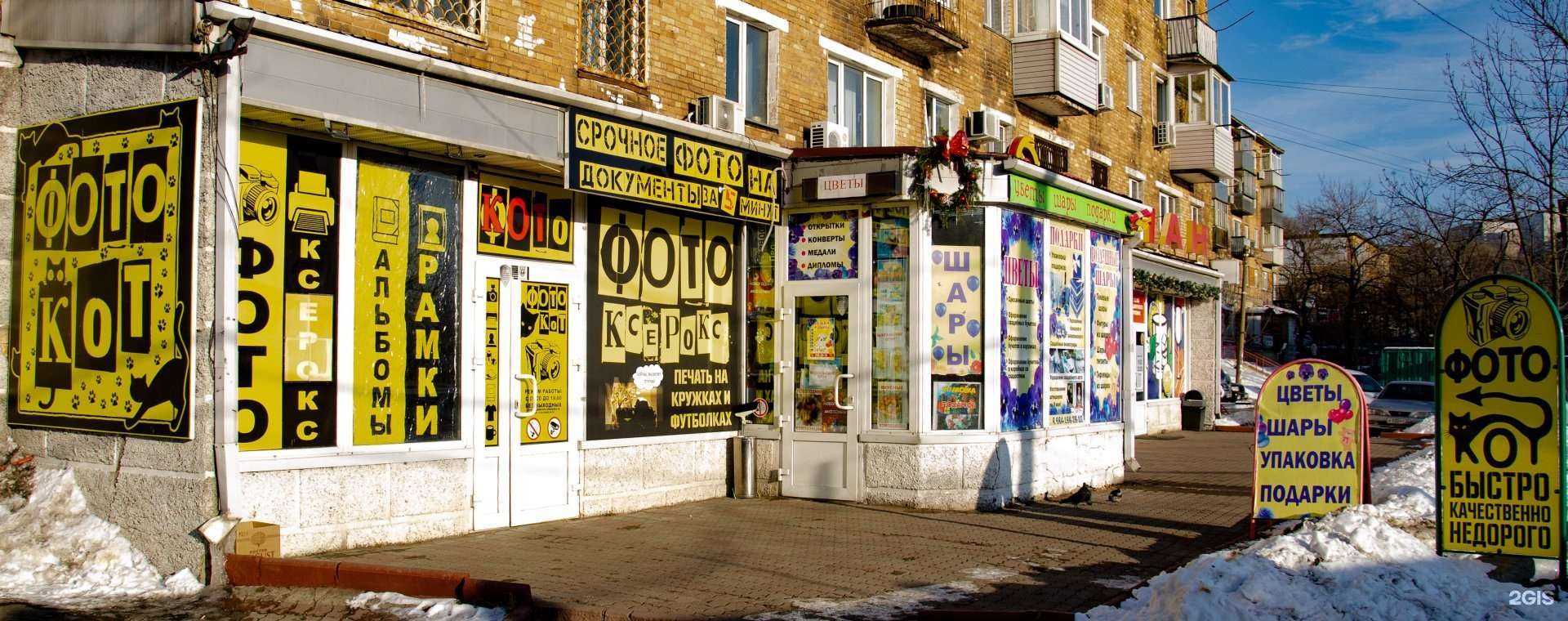 Отзывы на компанию Фото кот в Владивостоке c фото