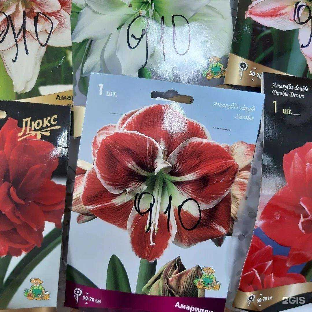 Отзывы на компанию Усадьба в г. Советская Гавань c фото