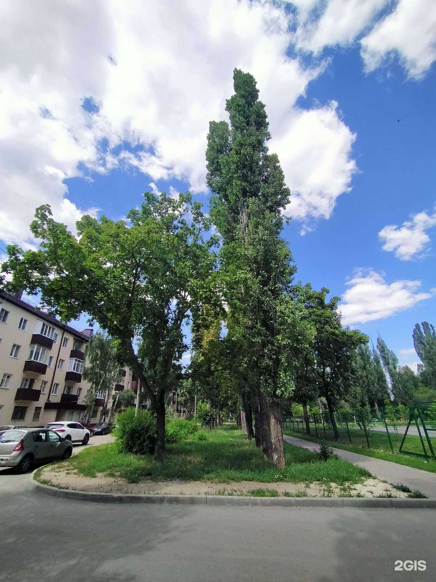 Отзывы на компанию Робин Сдобин в Воронеже c фото - фотография 2 из 2