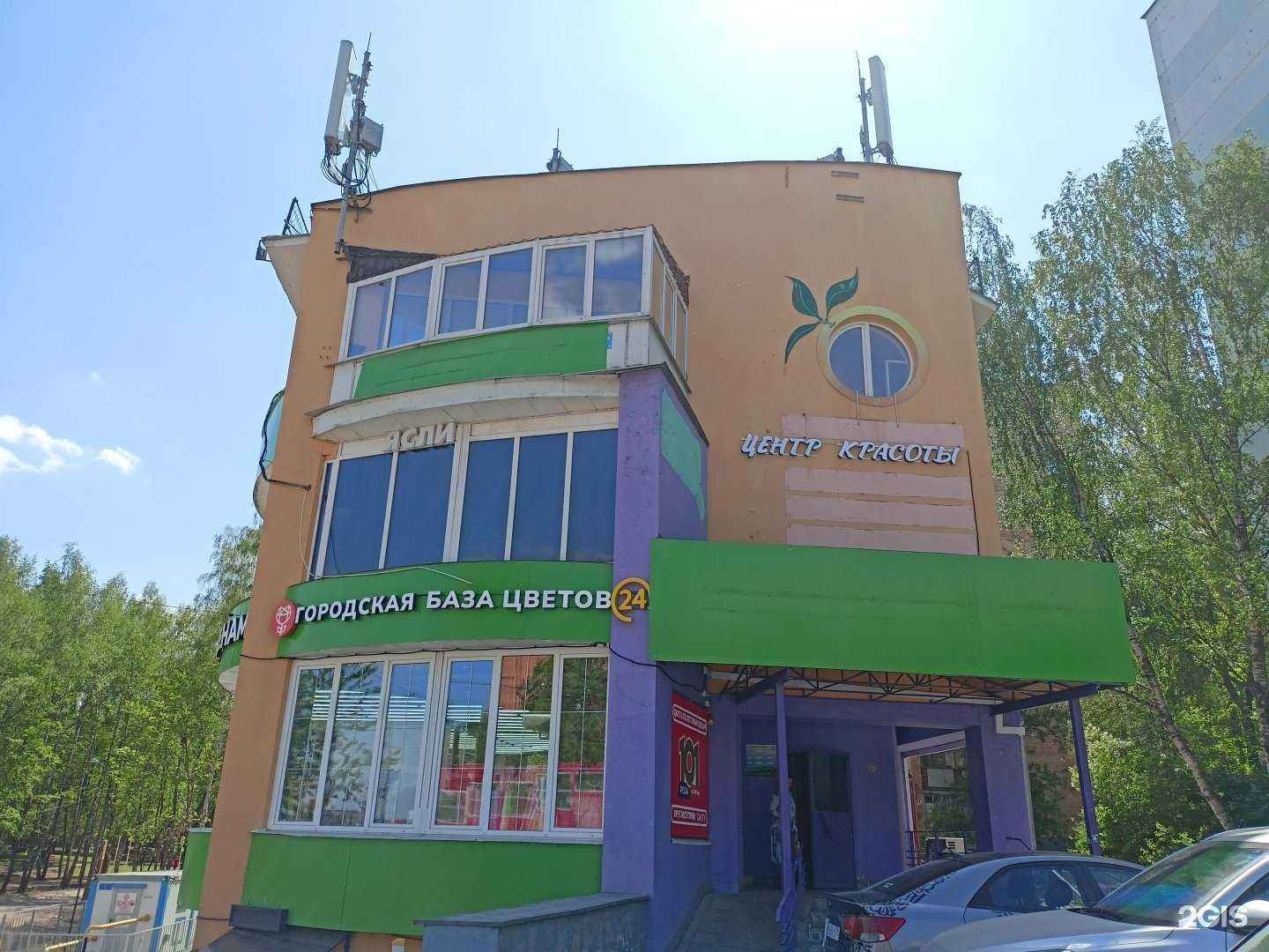 Отзывы на компанию Городская база цветов в Пушкине c фото - фотография 2 из 2