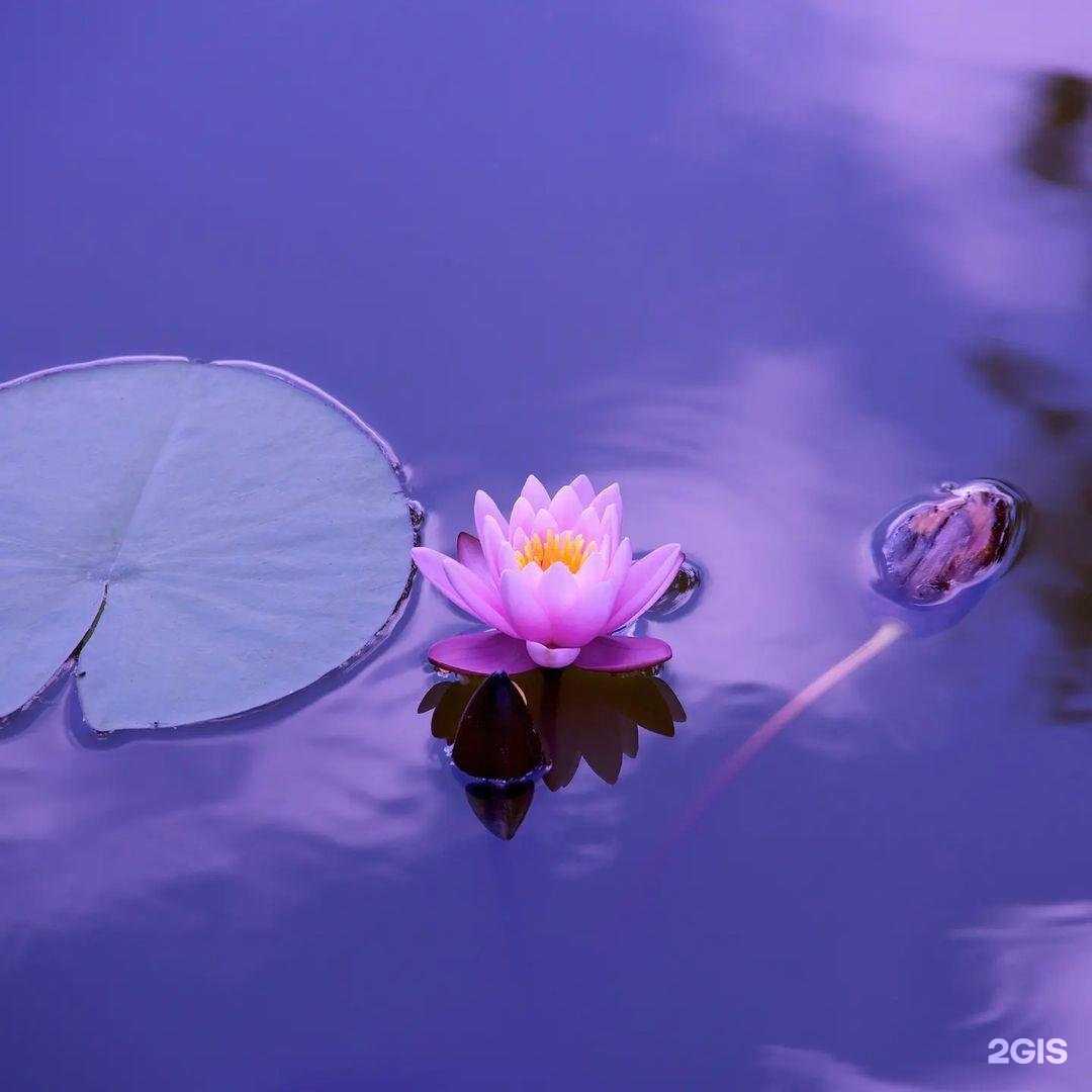 Отзывы на компанию Николь в г. Балаково c фото