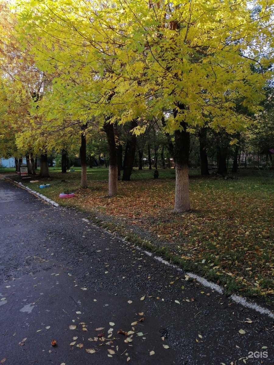 Отзывы на компанию Детская поликлиника №6 в г. Челябинск c фото