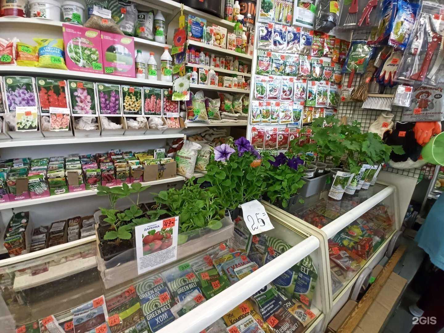 Отзывы на компанию Город сад в Магнитогорске c фото