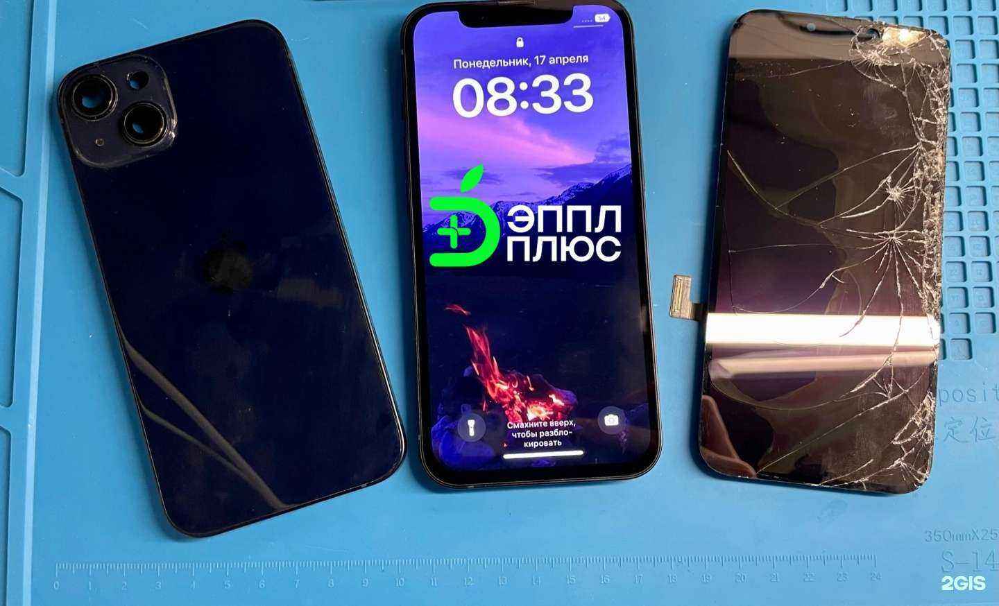 Отзывы на компанию Apple Plus в Тюмени c фото