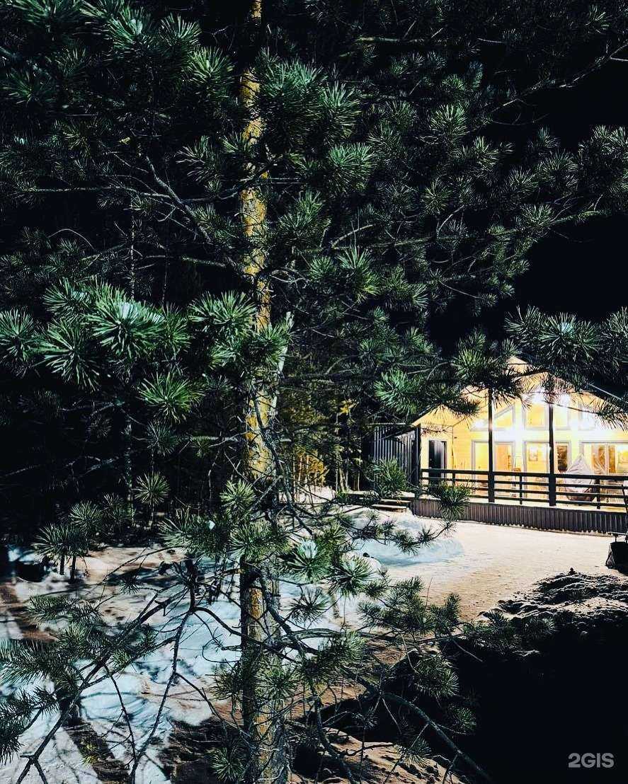 Отзывы на компанию Sippa в Сургуте c фото