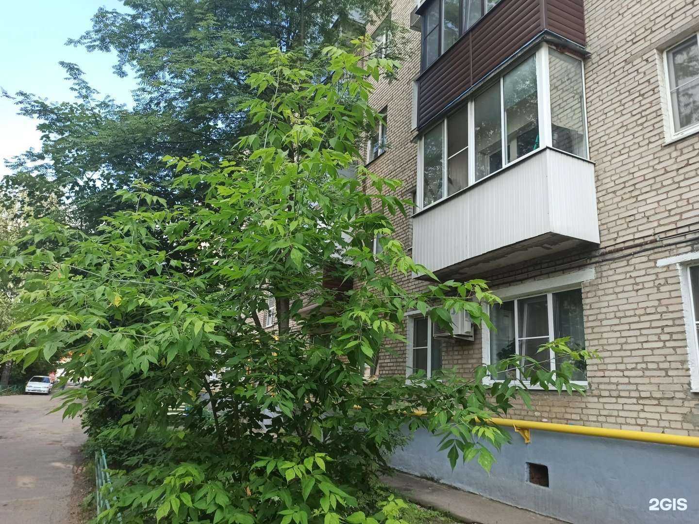 Отзывы на компанию Декор в Лобне c фото