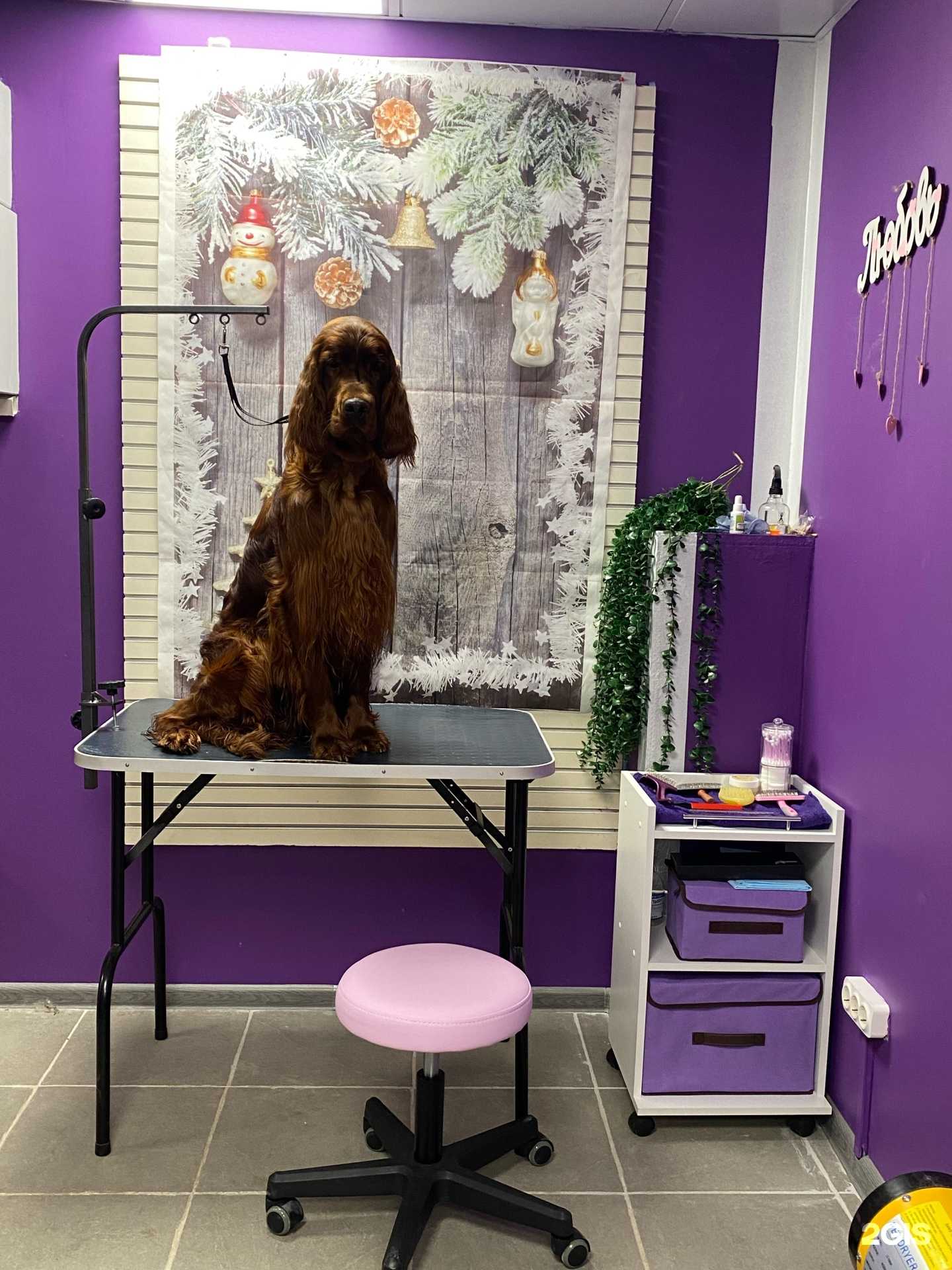 Отзывы на компанию Lollipop в Сергиеве Посаде c фото