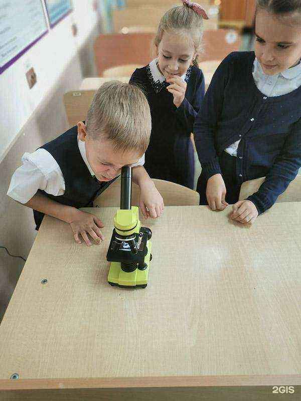 Отзывы на компанию Средняя школа №14 в Прокопьевске c фото