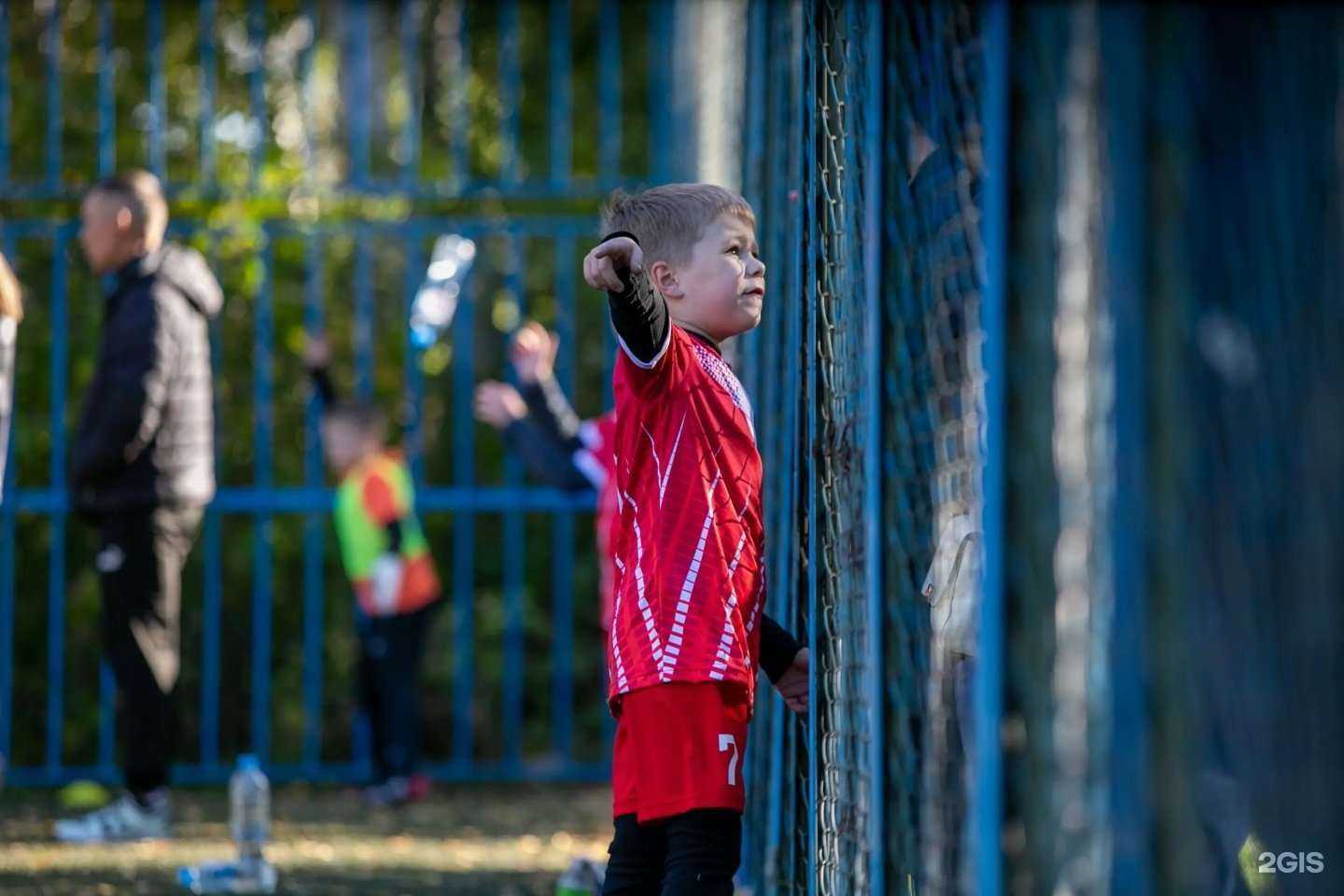 Отзывы на компанию Дебют в Омске c фото