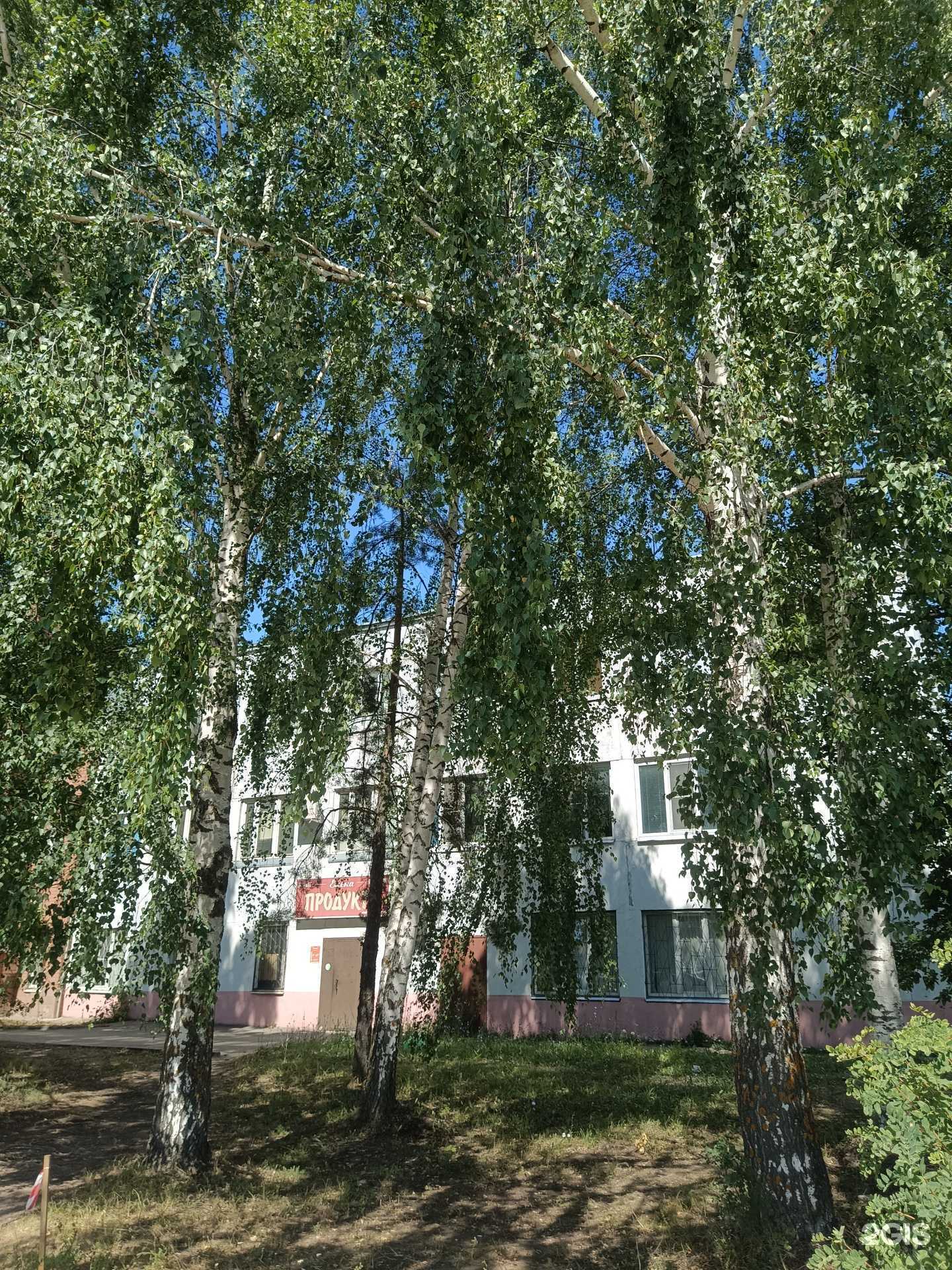 Отзывы на компанию Luna в Йошкар-Оле c фото - фотография 2 из 2