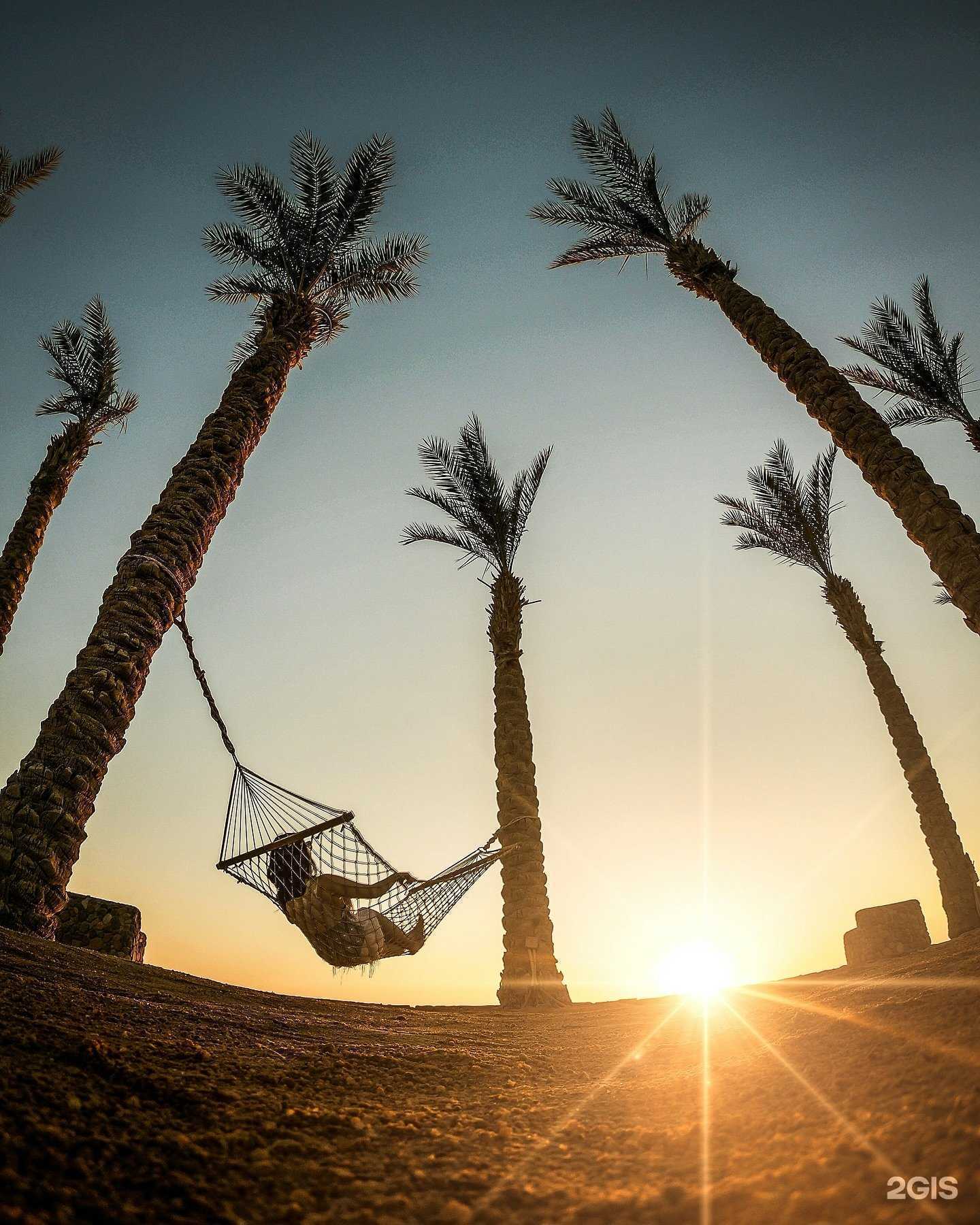 Отзывы на компанию Солнцетур в Иванове c фото