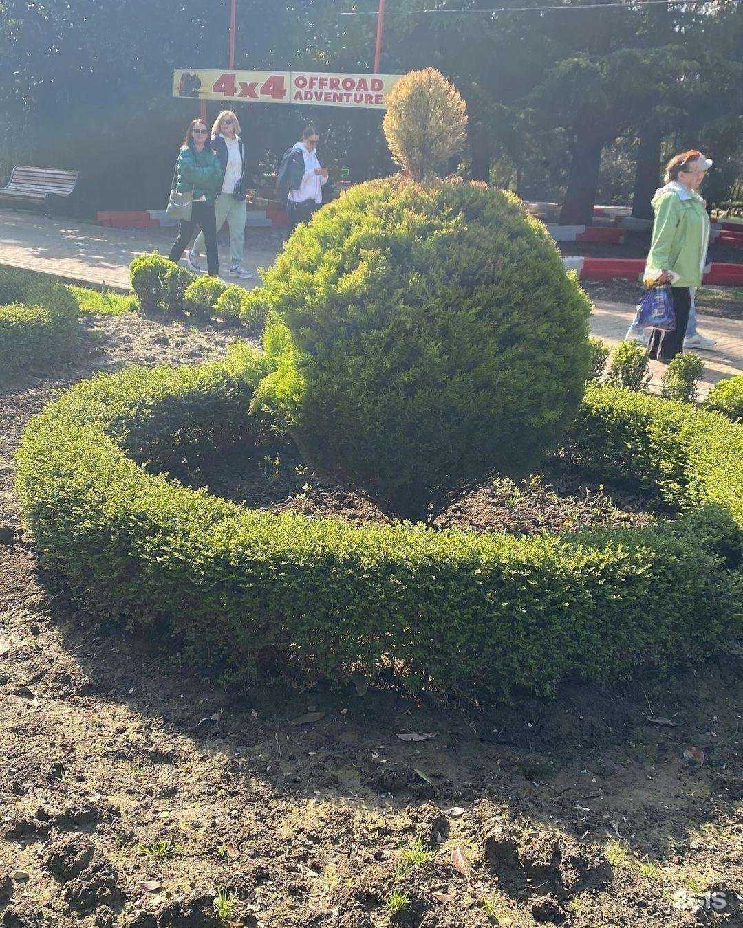 Отзывы на компанию У Наиры в Сочи c фото