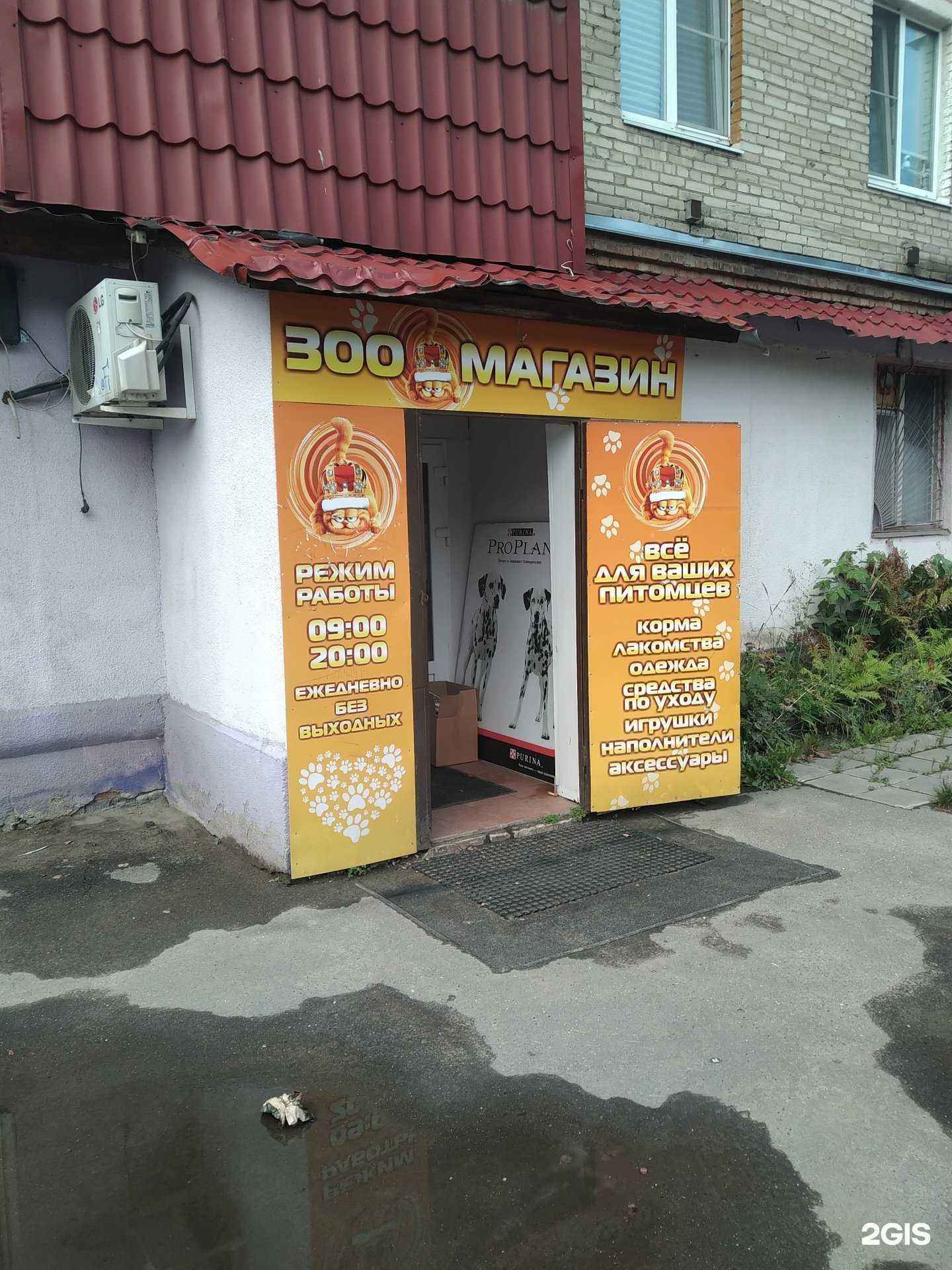 Отзывы на компанию Хвостик в г. Электроугли c фото