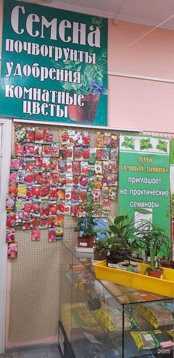 Отзывы на компанию Семена 72 в Тюмени c фото