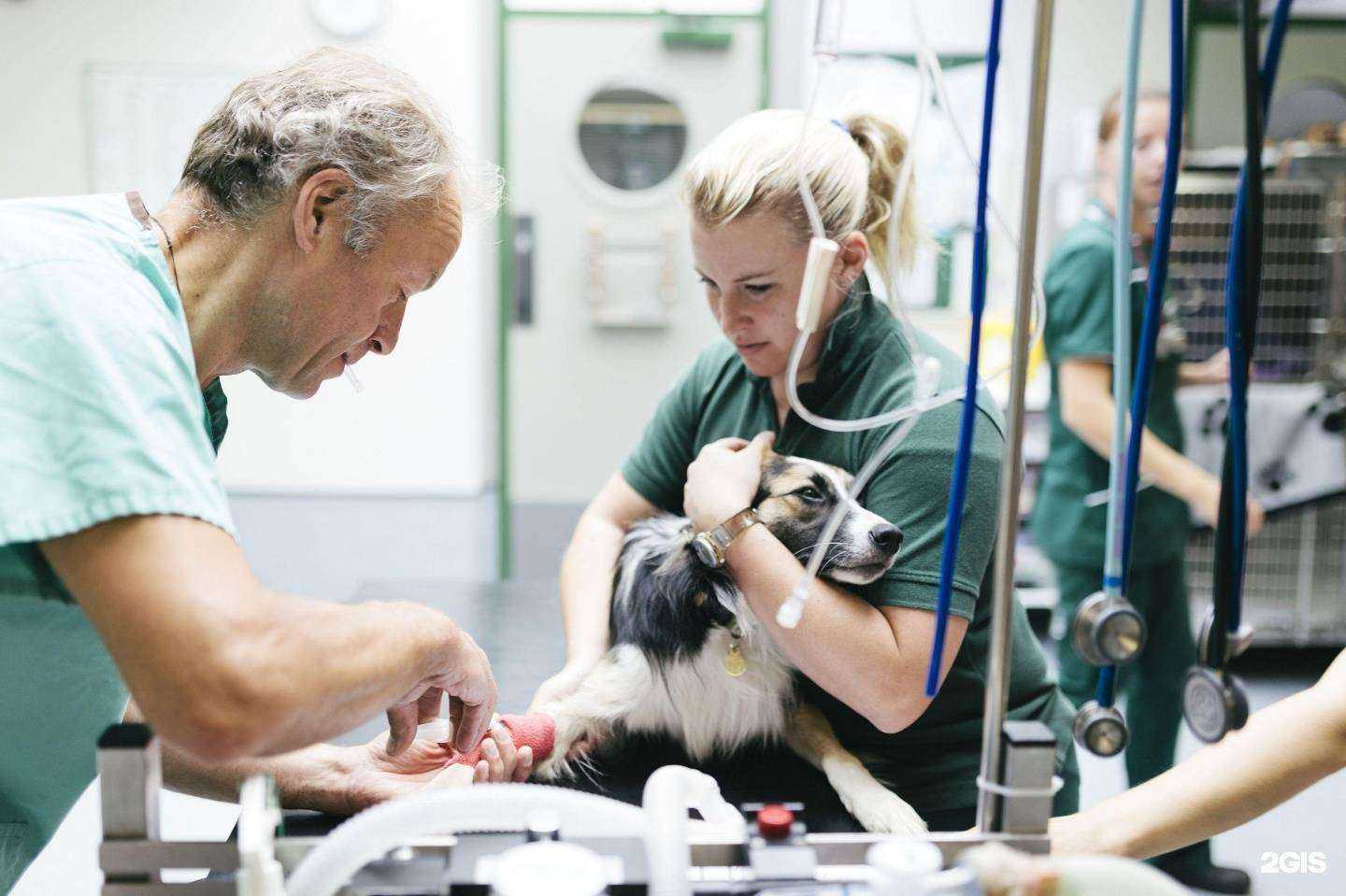 Отзывы на компанию Ветмаг в г. Балашиха c фото