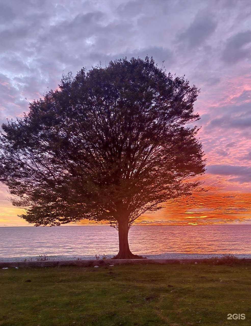 Отзывы на компанию Июль в Барнауле c фото