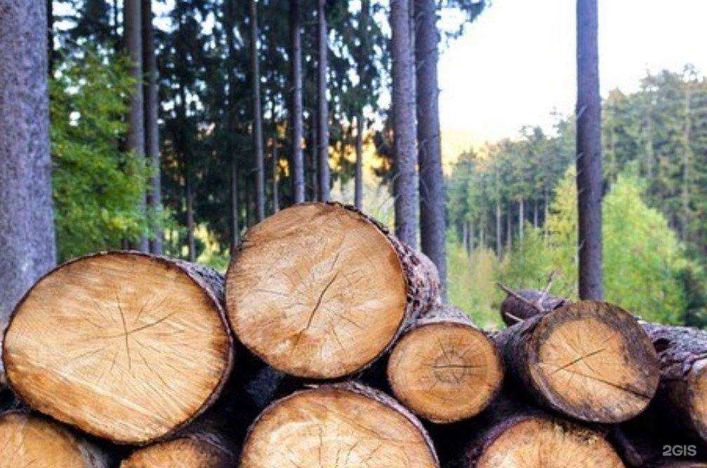 Отзывы на компанию Курганлеспром в Кургане c фото