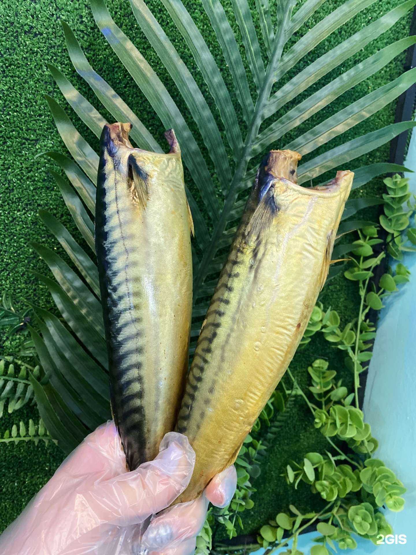 Отзывы на компанию Море вкуса в г. Краснодар c фото