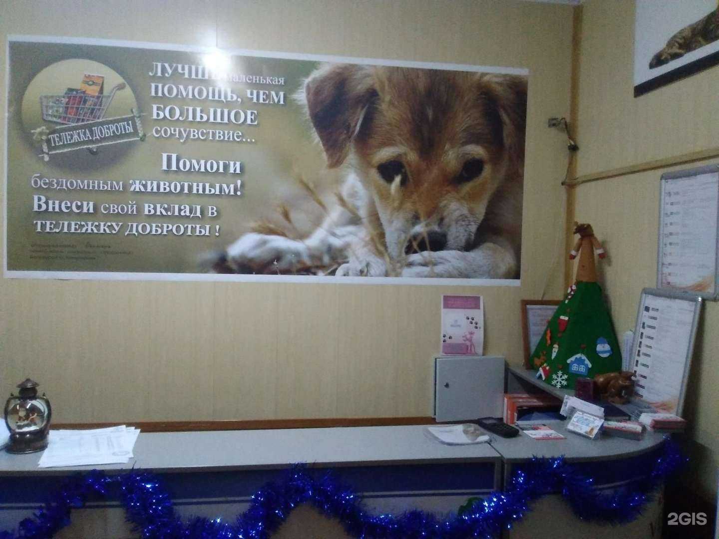 Отзывы на компанию Пантера в г. Белоозёрский c фото