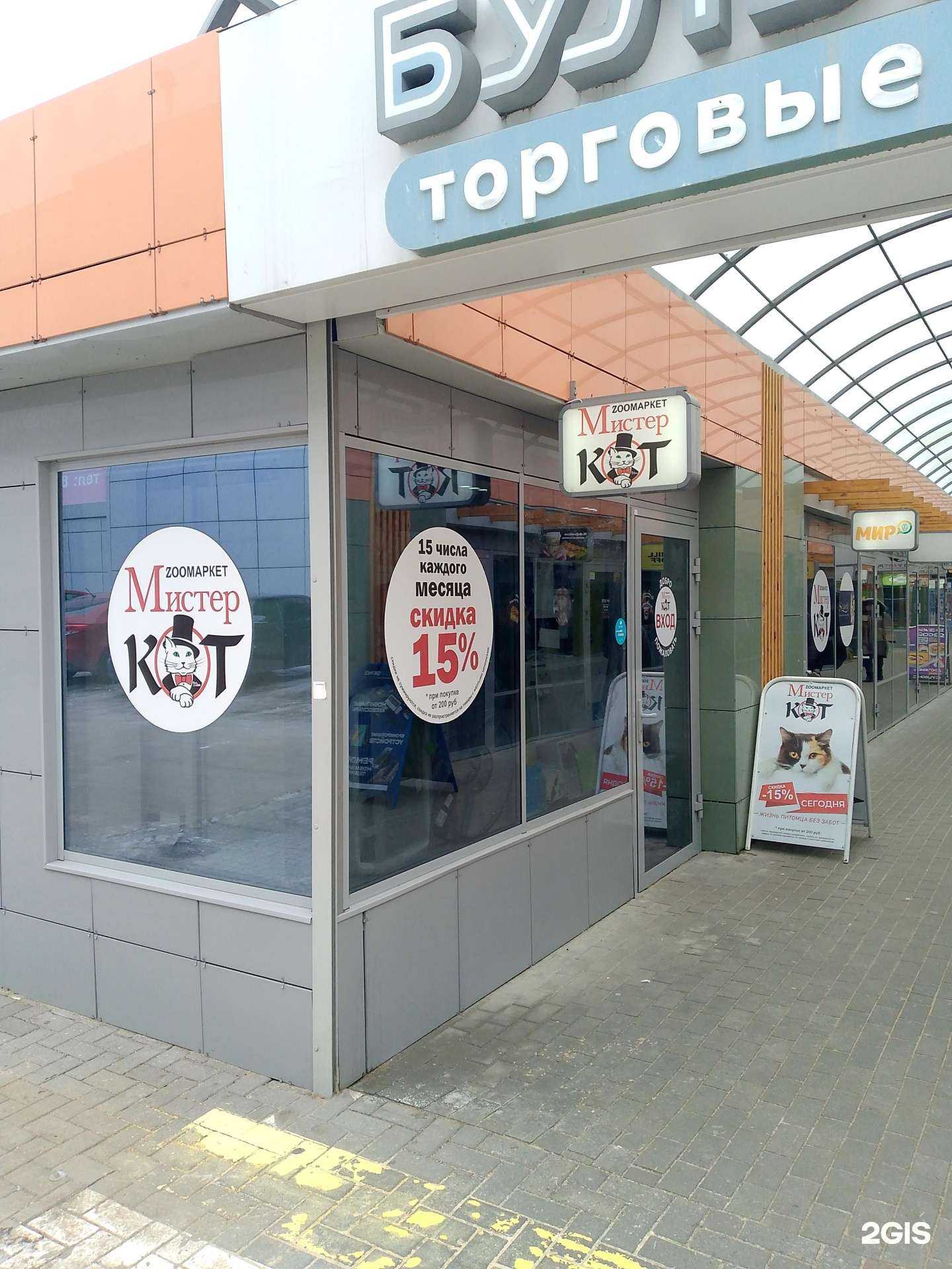 Отзывы на компанию Мистер Кот в Воронеже c фото