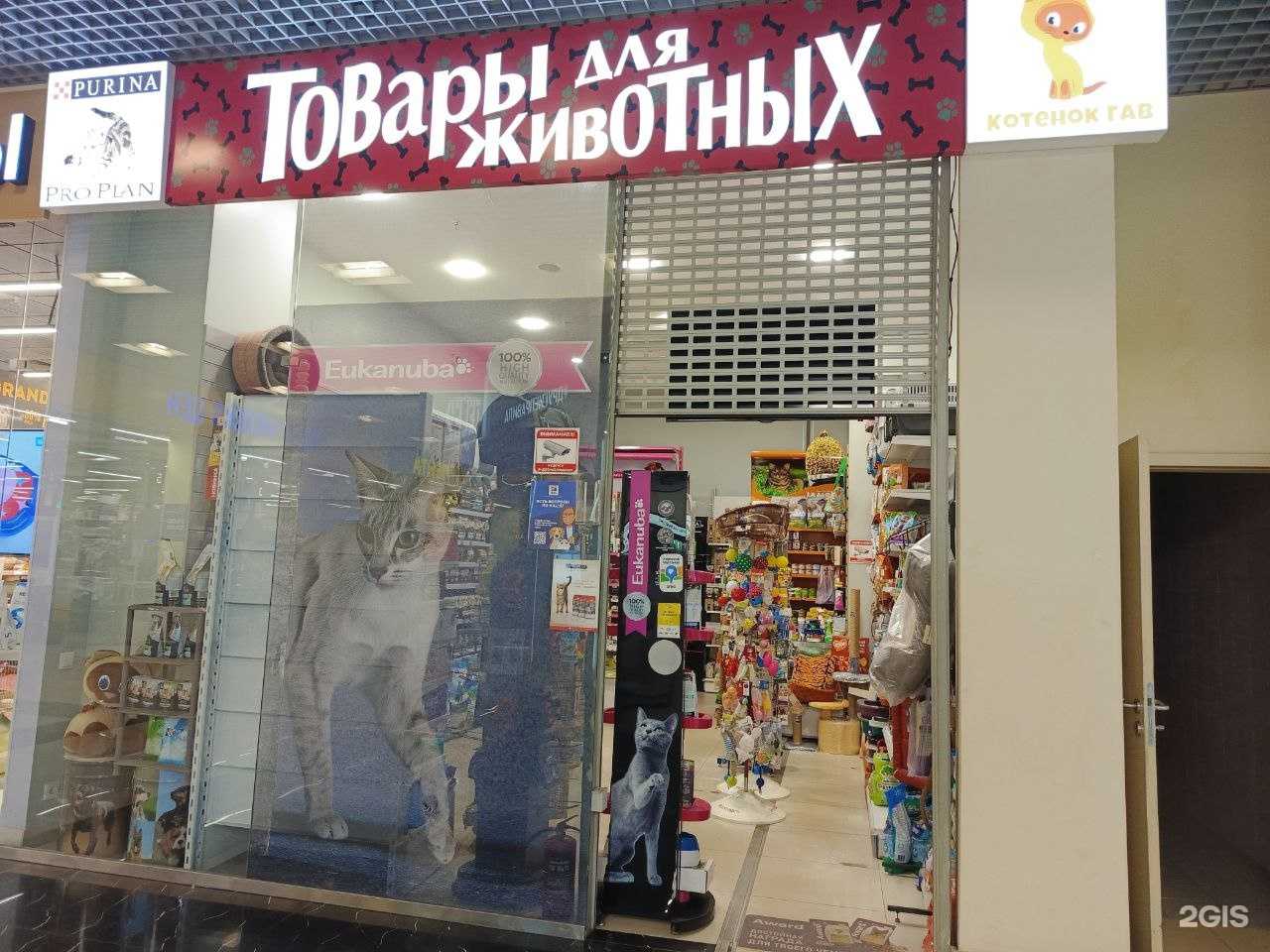 Отзывы на компанию Чарли в Новокузнецке c фото