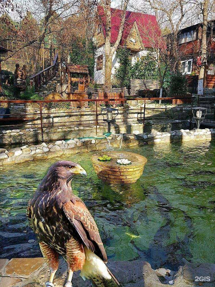 Отзывы на компанию Казачий курень в Новороссийске c фото