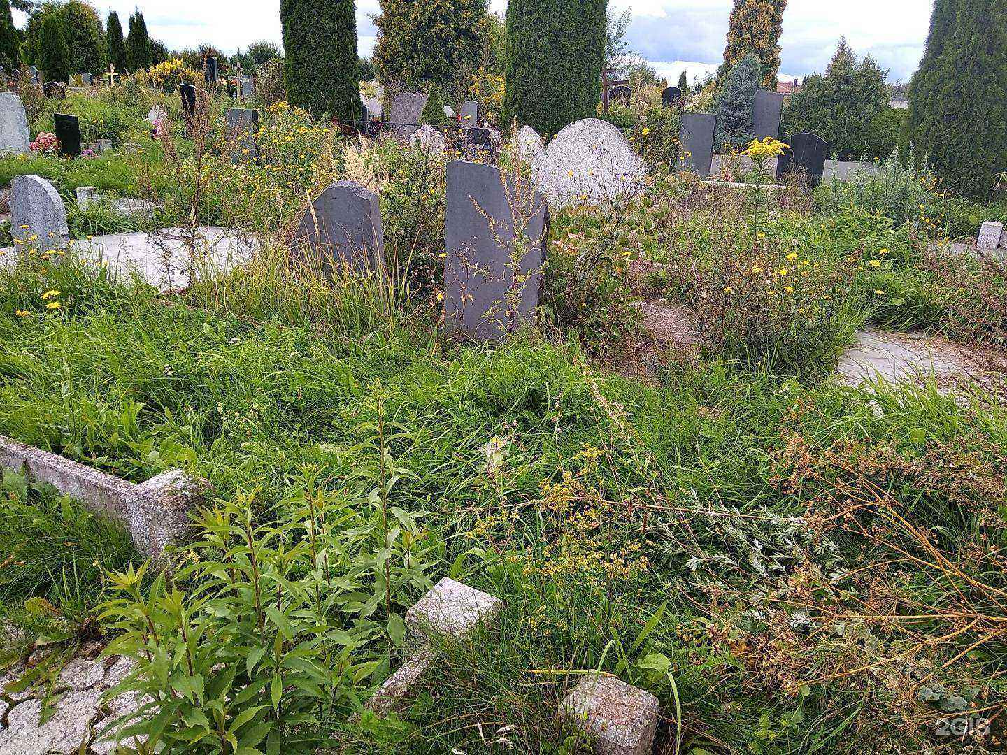 Отзывы на компанию Альта в Гурьевске c фото